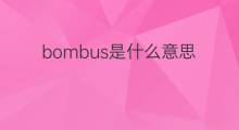 bombus是什么意思 bombus的中文翻译、读音、例句