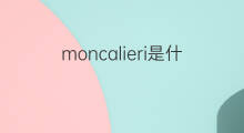 moncalieri是什么意思 moncalieri的中文翻译、读音、例句