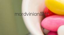 mordvinian是什么意思 mordvinian的中文翻译、读音、例句