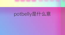potbelly是什么意思 potbelly的中文翻译、读音、例句