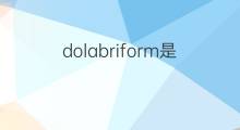 dolabriform是什么意思 dolabriform的中文翻译、读音、例句