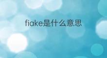 fiake是什么意思 fiake的中文翻译、读音、例句