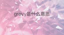 grovy是什么意思 grovy的中文翻译、读音、例句