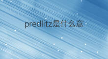 predlitz是什么意思 predlitz的中文翻译、读音、例句