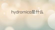 hydromica是什么意思 hydromica的中文翻译、读音、例句