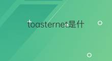 toasternet是什么意思 toasternet的中文翻译、读音、例句