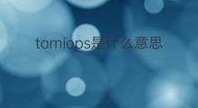 tamiops是什么意思 tamiops的中文翻译、读音、例句
