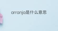 arranja是什么意思 arranja的中文翻译、读音、例句