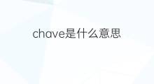 chave是什么意思 chave的中文翻译、读音、例句