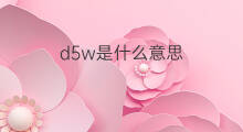 d5w是什么意思 d5w的中文翻译、读音、例句