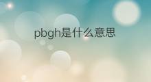 pbgh是什么意思 pbgh的中文翻译、读音、例句