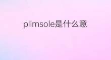 plimsole是什么意思 plimsole的中文翻译、读音、例句