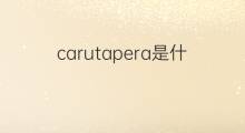 carutapera是什么意思 carutapera的中文翻译、读音、例句
