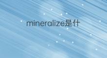 mineralize是什么意思 mineralize的中文翻译、读音、例句