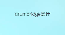 drumbridge是什么意思 drumbridge的中文翻译、读音、例句