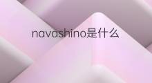 navashino是什么意思 navashino的中文翻译、读音、例句