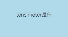 tensimeter是什么意思 tensimeter的中文翻译、读音、例句