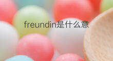 freundin是什么意思 freundin的中文翻译、读音、例句