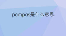 pompas是什么意思 pompas的中文翻译、读音、例句