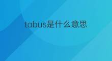 tabus是什么意思 tabus的中文翻译、读音、例句