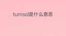 turnsol是什么意思 turnsol的中文翻译、读音、例句