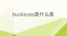 buckeyes是什么意思 buckeyes的中文翻译、读音、例句