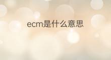 ecm是什么意思 ecm的中文翻译、读音、例句