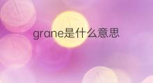 grane是什么意思 grane的中文翻译、读音、例句