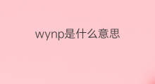 wynp是什么意思 wynp的中文翻译、读音、例句