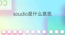 soudio是什么意思 soudio的中文翻译、读音、例句