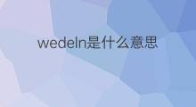 wedeln是什么意思 wedeln的中文翻译、读音、例句