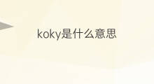 koky是什么意思 koky的中文翻译、读音、例句