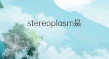 stereoplasm是什么意思 stereoplasm的中文翻译、读音、例句