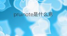 pruinate是什么意思 pruinate的中文翻译、读音、例句