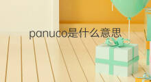 panuco是什么意思 panuco的中文翻译、读音、例句