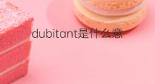dubitant是什么意思 dubitant的中文翻译、读音、例句
