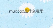 mudcap是什么意思 mudcap的中文翻译、读音、例句
