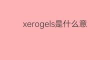 xerogels是什么意思 xerogels的中文翻译、读音、例句