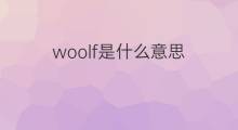 woolf是什么意思 woolf的中文翻译、读音、例句