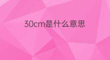 30cm是什么意思 30cm的中文翻译、读音、例句