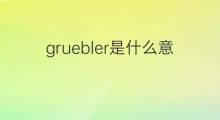 gruebler是什么意思 gruebler的中文翻译、读音、例句
