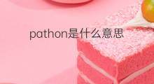 pathon是什么意思 pathon的中文翻译、读音、例句