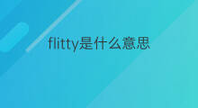 flitty是什么意思 flitty的中文翻译、读音、例句