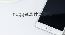 nugget是什么意思 nugget的中文翻译、读音、例句