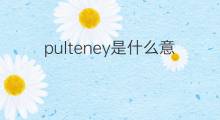 pulteney是什么意思 pulteney的中文翻译、读音、例句