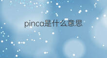 pinca是什么意思 pinca的中文翻译、读音、例句