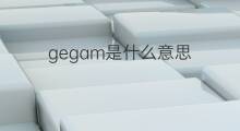 gegam是什么意思 gegam的中文翻译、读音、例句