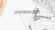 prohibitin是什么意思 prohibitin的中文翻译、读音、例句