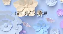 beal是什么意思 beal的中文翻译、读音、例句