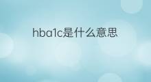 hba1c是什么意思 hba1c的中文翻译、读音、例句